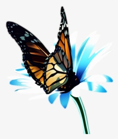Papillon Render, HD Png Download, Transparent PNG