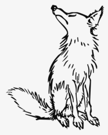 Wolf Png Clipart - Outline Of Fox And Grapes, Transparent Png, Transparent PNG