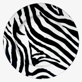 Zebra Print, HD Png Download, Transparent PNG