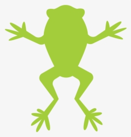 Frog - Cartoon Simple Frog, HD Png Download, Transparent PNG