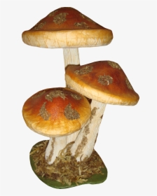 Autumn Mushroom Png, Transparent Png, Transparent PNG