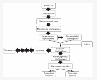 Diagram, HD Png Download, Transparent PNG