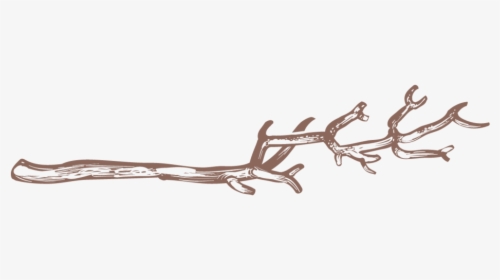 Twigs-10 - Rein, HD Png Download, Transparent PNG