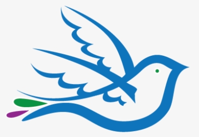 Bird, HD Png Download, Transparent PNG