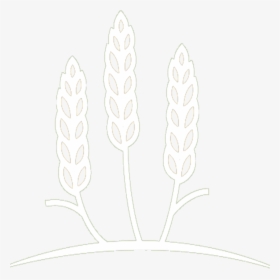 Emblem - Still Life Photography, HD Png Download, Transparent PNG