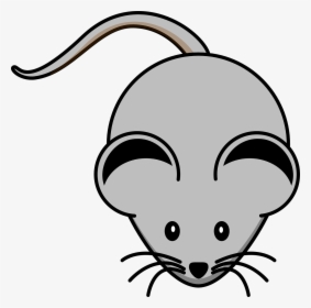 Grey Mouse Clipart, HD Png Download, Transparent PNG
