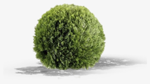 Artificial Topiary Bushes, HD Png Download, Transparent PNG