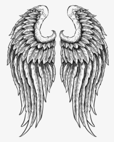 Wings Black And White, HD Png Download, Transparent PNG