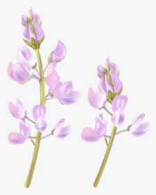 Wildflower Clipart Easter Flower, HD Png Download, Transparent PNG