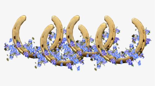 Horse Shoes, Lucky, Blue Flowers, Decoration, Symbol - Horseshoe, HD Png Download, Transparent PNG