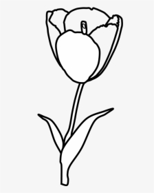 Tulip, Petals, Stamen, Black And White, Png - Tulip Flower Clipart Black And White Cutting, Transparent Png, Transparent PNG