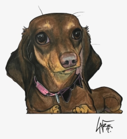 Dachshund, HD Png Download, Transparent PNG