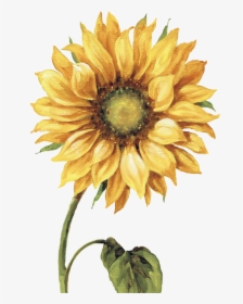Sunflowers Png Painted - Sunflower Painting Png, Transparent Png, Transparent PNG