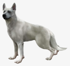 Hewie Haunting Ground, HD Png Download, Transparent PNG