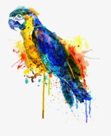 Parrot Watercolor Painting, HD Png Download, Transparent PNG