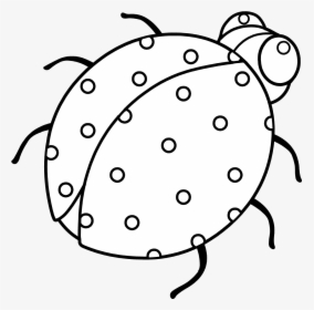 Ladybug Coloring Page Clip Art - Clip Art, HD Png Download, Transparent PNG