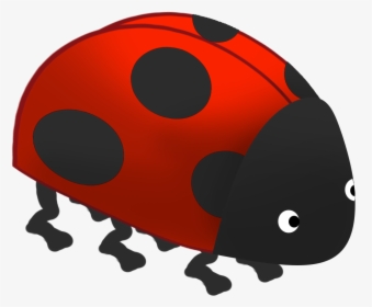 Cartoon Ladybird Shape - Ladybug, HD Png Download, Transparent PNG