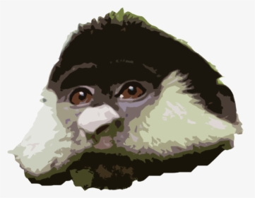Rtface - Monkey, HD Png Download, Transparent PNG