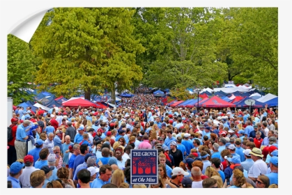 Ole Miss Rebels - The Grove, HD Png Download, Transparent PNG