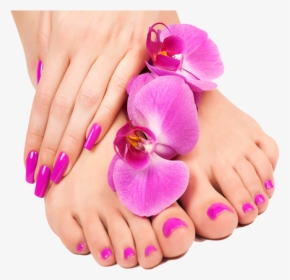 Image Description - Hand And Foot Beauty, HD Png Download, Transparent PNG