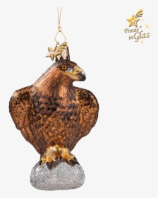Golden Eagle - Rooster, HD Png Download, Transparent PNG