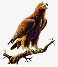 Canvas Paintings Of Golden Eagles, HD Png Download, Transparent PNG