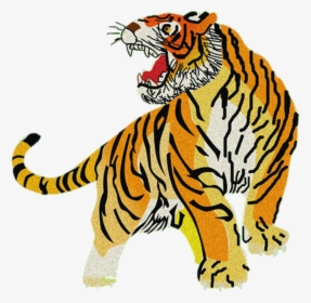 Tiger Clip Art - เสือ โคร่ง รูป การ์ตูน เสือ, HD Png Download, Transparent PNG