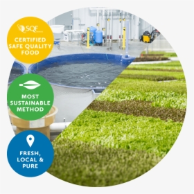Superior Fresh Sustainable Farming Benefits - Artificial Turf, HD Png Download, Transparent PNG