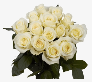 White Roses For Sale Freshest Anastacia Roses - Floribunda, HD Png Download, Transparent PNG