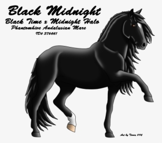 Stallion, HD Png Download, Transparent PNG