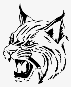 Wild Cat Face Drawing, HD Png Download, Transparent PNG