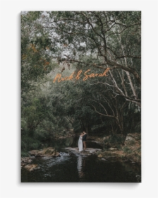 Nick & Sarah Cover - Birch, HD Png Download, Transparent PNG