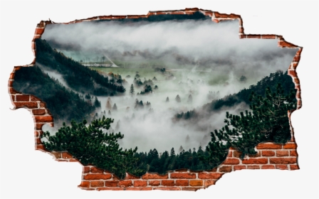 Zapwalls Decals Foggy Forest Hills Breaking Wall Nature - Pines Mist, HD Png Download, Transparent PNG