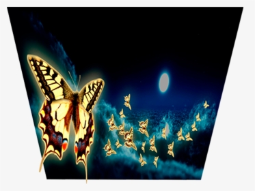 Don T Believe Your Eyes Night Glow Night Ambient Moonlight - Papilio, HD Png Download, Transparent PNG