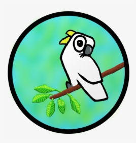 Sulpher Crested Cockatoo Illustration - Cartoon, HD Png Download, Transparent PNG