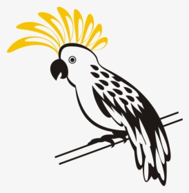 Clipart Birds Kakatua - Cockatoo, HD Png Download, Transparent PNG