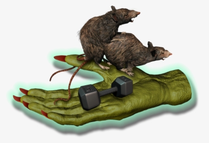 Big Fitness Goblin Rats - Punxsutawney Phil, HD Png Download, Transparent PNG