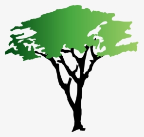Tree Of Life Clipart Free Graphic Royalty Free Download - Clipart Acacia Tree, HD Png Download, Transparent PNG