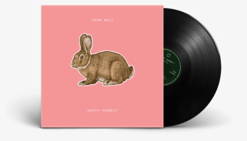 Vinyl Record Png - Domestic Rabbit, Transparent Png, Transparent PNG