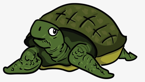 Tortoise Clip Art - Turtle, HD Png Download, Transparent PNG