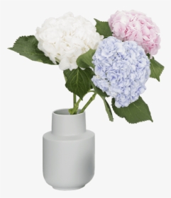 Office - Hydrangea, HD Png Download, Transparent PNG