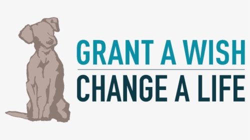 Grant A Wish Change A Life    Class Img Responsive - Graphic Design, HD Png Download, Transparent PNG