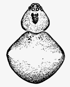Illustration, HD Png Download, Transparent PNG