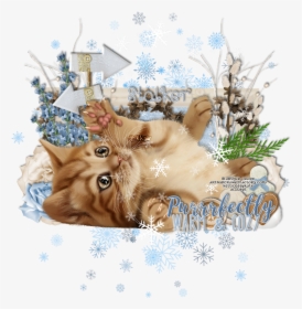 Made Using Ib Ashevans Feb2019 - Tabby Cat, HD Png Download, Transparent PNG