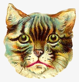 Cat Vintage Png, Transparent Png, Transparent PNG