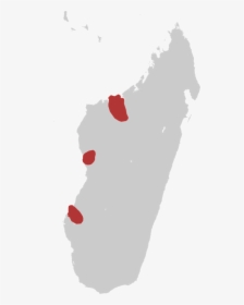 Sakalava Rail - Map Simple Madagascar Island, HD Png Download, Transparent PNG