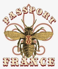 Pptf Logo Trans Back - Net-winged Insects, HD Png Download, Transparent PNG