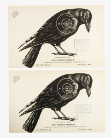 1960s Vintage Crow Raven Paper Targets, HD Png Download, Transparent PNG