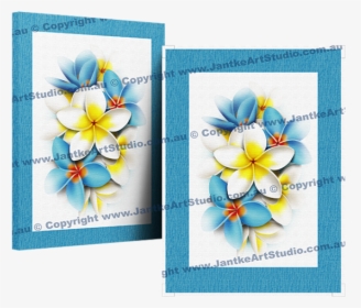 Picture 2 Of - Frangipani, HD Png Download, Transparent PNG