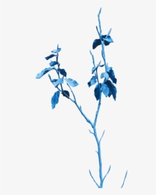 Twig, HD Png Download, Transparent PNG